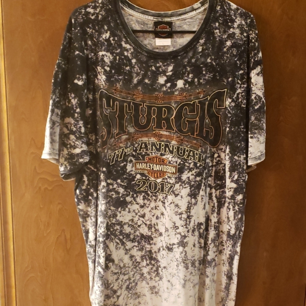 Sturgis 2017